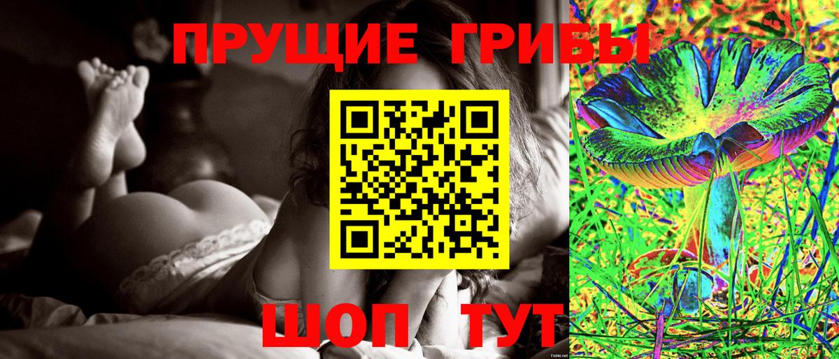 Псилоцибиновые грибы GOLDEN TEACHER Трёхгорный