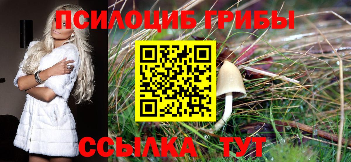 Галлюциногенные грибы ЛСД  Вход с VPN  Трёхгорный 